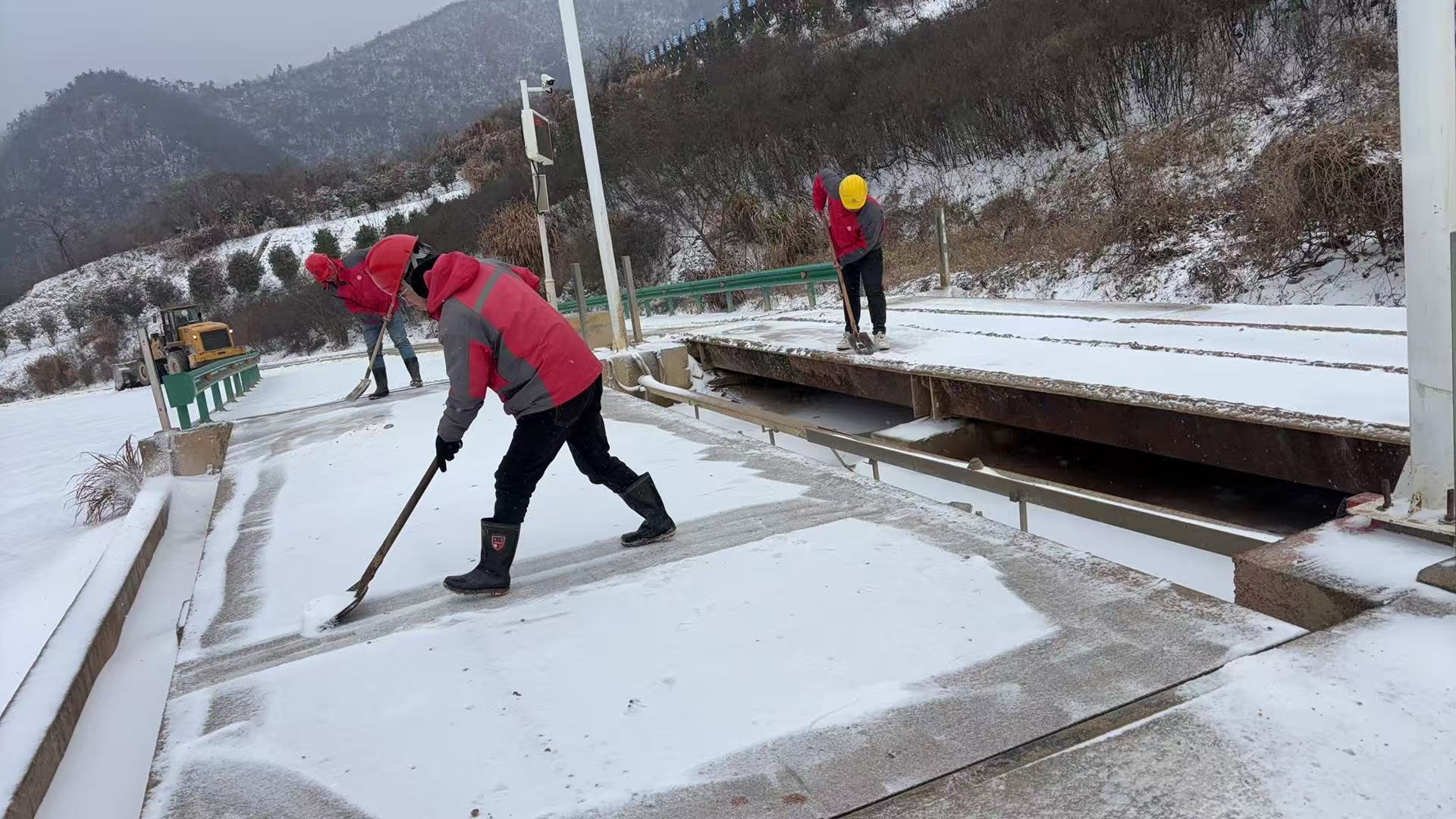 1769672946226856.jpg 1769672946226856.jpg